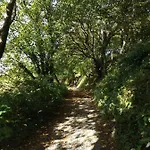 펜션 Sunnyside-cottage