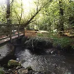 Sunnyside-cottage *