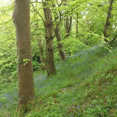 Sunnyside-cottage Ennistimon