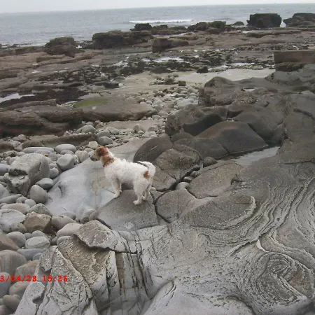 Sunnyside-cottage Hébergement de vacances *