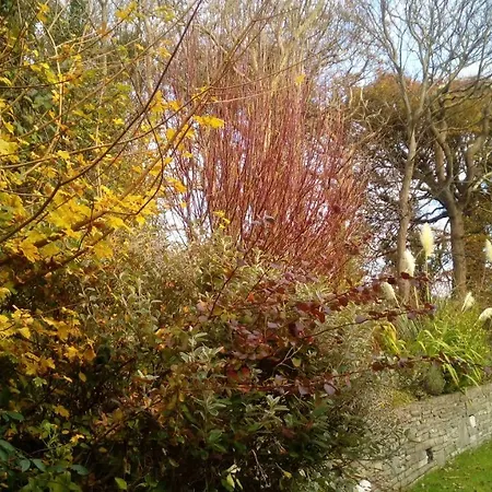 Prázdninový dům Sunnyside-cottage *