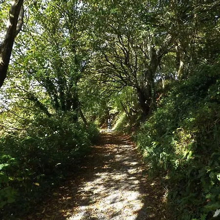 Hébergement de vacances Sunnyside-cottage