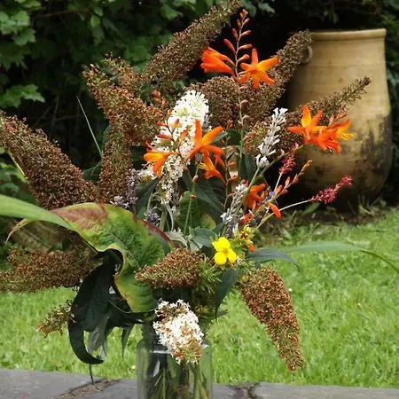 Sunnyside-cottage Дом отдыха