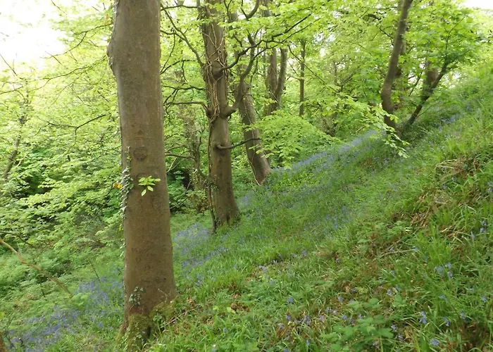 Sunnyside-cottage Ennistimon