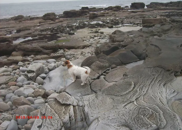 Sunnyside-cottage Dom wakacyjny *