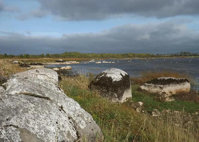 Dom wakacyjny Sunnyside-cottage Ennistimon