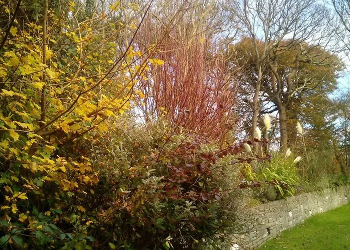 Dom wakacyjny Sunnyside-cottage *