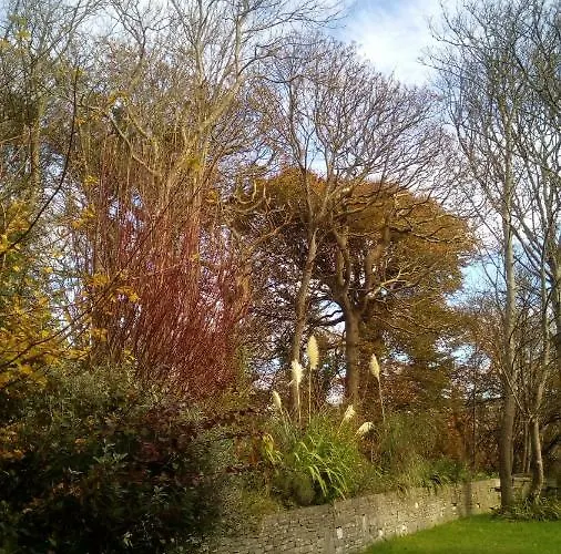 Sunnyside-cottage Ennistimon