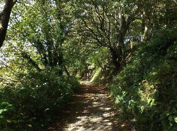 Dom wakacyjny Sunnyside-cottage