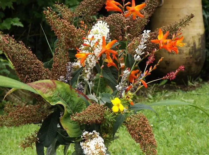 Sunnyside-cottage Dom wakacyjny