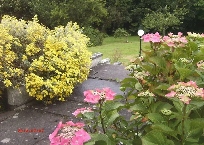 Dom wakacyjny Sunnyside-cottage *